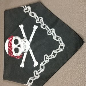 HAV-A-HANK skull and crossbones scarf